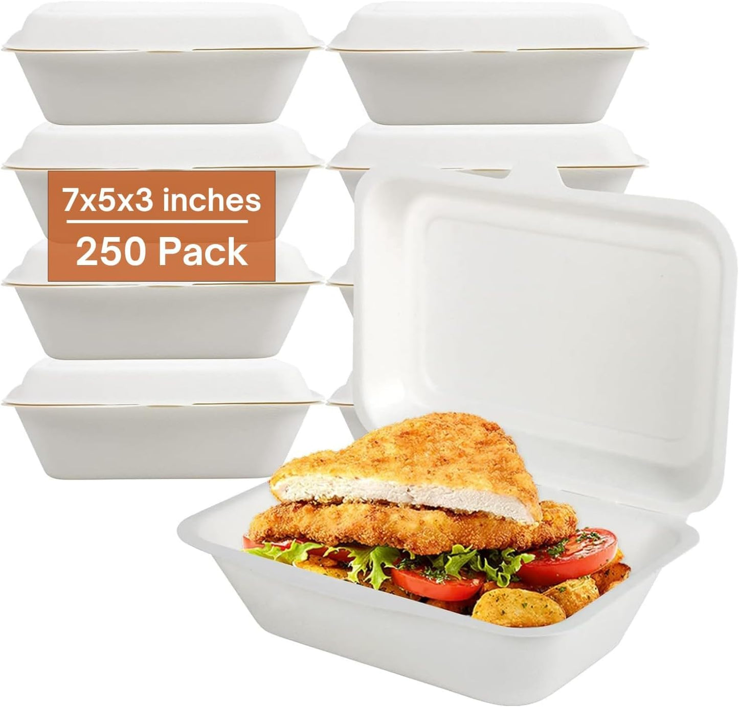 Clamshell Takeaway Boxes, 7x5 inch, 21oz / 600ml (500 pcs)